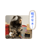 コモンマーモセット  らむね君3（個別スタンプ：12）