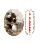 コモンマーモセット  らむね君3（個別スタンプ：16）