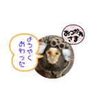 コモンマーモセット  らむね君3（個別スタンプ：19）