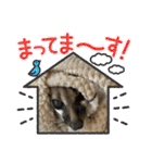 コモンマーモセット  らむね君3（個別スタンプ：32）