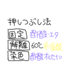 生物教育スタンプ（個別スタンプ：20）