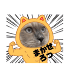 はくさまスタンプ（個別スタンプ：3）