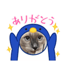 はくさまスタンプ（個別スタンプ：14）
