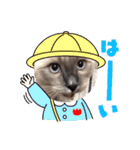 はくさまスタンプ（個別スタンプ：18）