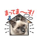 はくさまスタンプ（個別スタンプ：20）