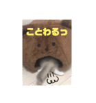はくさまスタンプ（個別スタンプ：24）