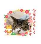 餅たちの正月スタンプ（個別スタンプ：4）
