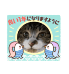 餅たちの正月スタンプ（個別スタンプ：8）