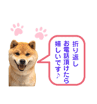 柴犬の ゆき丸♡敬語2（個別スタンプ：5）