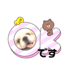 ペキニーズまろ（個別スタンプ：3）