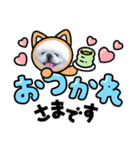 ペキニーズまろ（個別スタンプ：4）