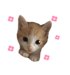 ライチちゃん2（個別スタンプ：4）