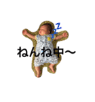 さいとう はるま（個別スタンプ：1）