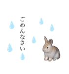 ヒョウモントカゲと仲間たち(その壱)（個別スタンプ：3）