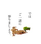 ヒョウモントカゲと仲間たち(その壱)（個別スタンプ：5）