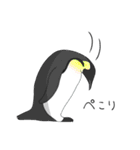 ペンギンの集合体（個別スタンプ：1）