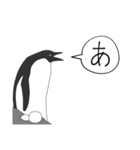 ペンギンの集合体（個別スタンプ：12）
