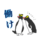 ペンギンの集合体（個別スタンプ：24）