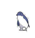 ペンギンの集合体（個別スタンプ：31）