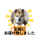 ナッツスタンプ！よく使うバージョン（個別スタンプ：4）