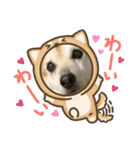 ナッツスタンプ！よく使うバージョン（個別スタンプ：37）