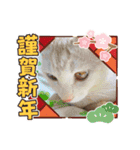 きな子②（個別スタンプ：1）