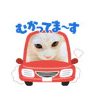 きな子②（個別スタンプ：10）