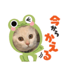 きな子②（個別スタンプ：11）
