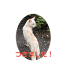 きな子②（個別スタンプ：12）
