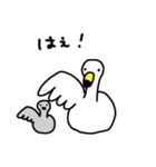 新潟弁の白鳥さん 3（個別スタンプ：36）