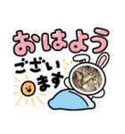 This is our Cat（個別スタンプ：1）