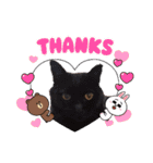 This is our Cat（個別スタンプ：20）