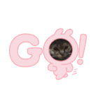 This is our Cat（個別スタンプ：27）