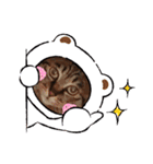 This is our Cat（個別スタンプ：31）