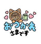 This is our Cat（個別スタンプ：33）