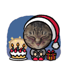 This is our Cat（個別スタンプ：37）