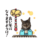 This is our Cat（個別スタンプ：38）