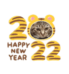 This is our Cat（個別スタンプ：40）