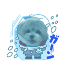 5.ギズモ（個別スタンプ：2）