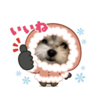 5.ギズモ（個別スタンプ：3）