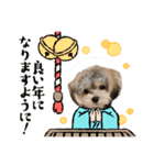 5.ギズモ（個別スタンプ：6）
