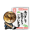 クリスマスお正月、にも真顔ねこ（個別スタンプ：10）