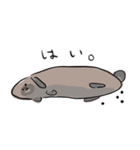 しゅんしゅんですが？（個別スタンプ：10）