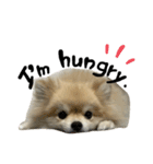 ぼく。うにたろう。Part3（個別スタンプ：4）