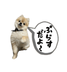 ぼく。うにたろう。Part3（個別スタンプ：15）