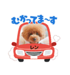 レンスタンプ15（個別スタンプ：9）