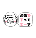 ピンクののぼねこ-山登り3-【家族へ報告】（個別スタンプ：17）