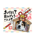 MerryXmas2896（個別スタンプ：4）