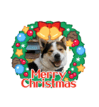 MerryXmas2896（個別スタンプ：7）