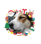 MerryXmas2896（個別スタンプ：8）
